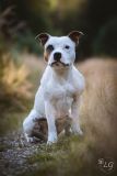 DSC_1029-kopie